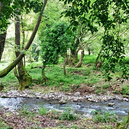 Domek alpejski Coquelicot Kalawrita