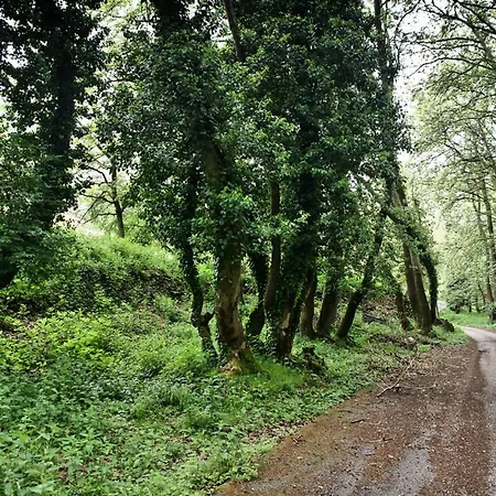 Coquelicot Domek alpejski Kalawrita