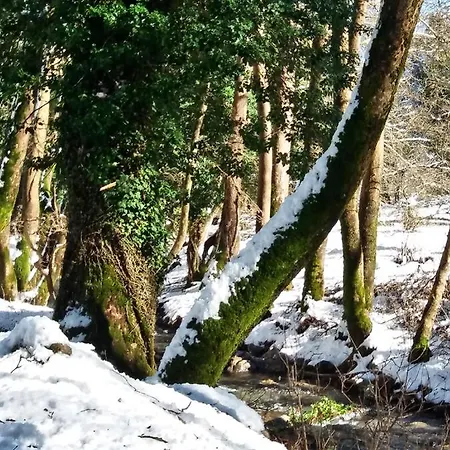 Domek alpejski Coquelicot