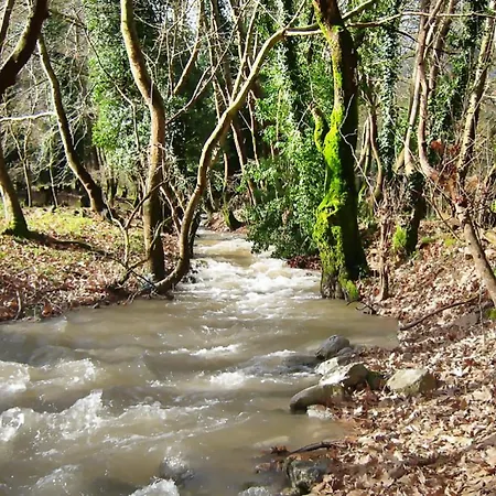 Coquelicot Domek alpejski Kalawrita