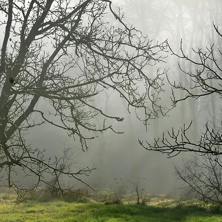 Coquelicot Alpehytte