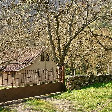 Coquelicot * Kalavryta