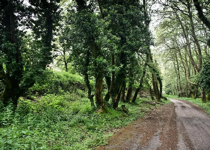 Coquelicot Chalet Kalavryta