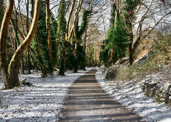 Coquelicot * Kalavryta