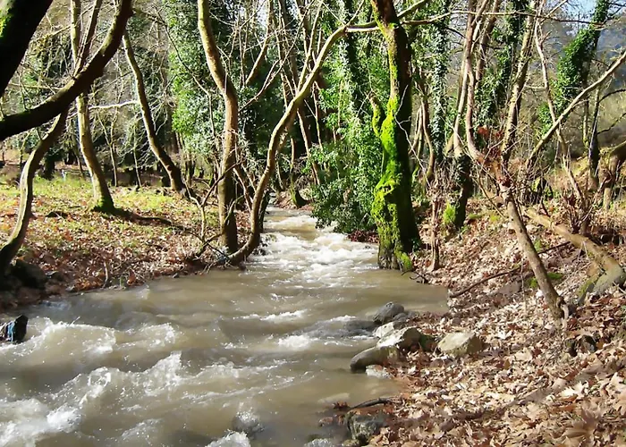 Coquelicot Chalet Kalavryta