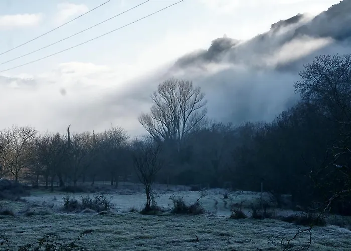 Coquelicot * Kalavryta
