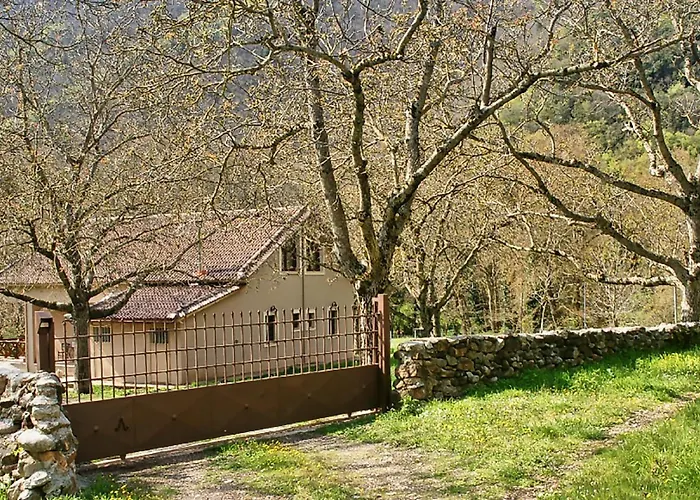 Coquelicot * Kalavryta